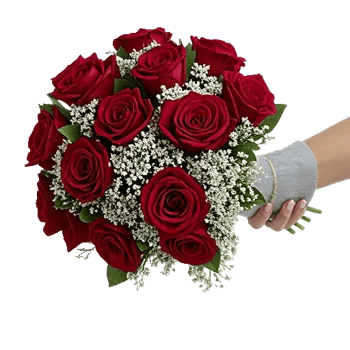 Crimson Rose Elegance