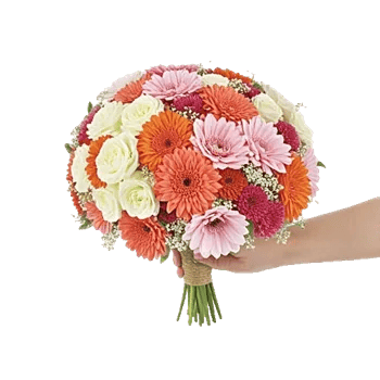Delicate Petal Cascade