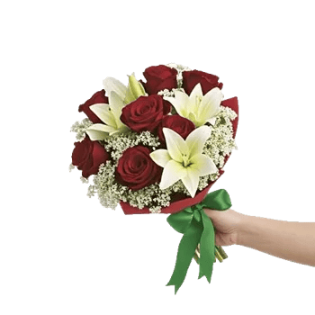 Crimson Rose Elegance
