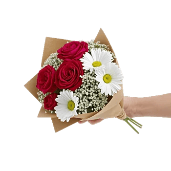Crimson Rose Elegance