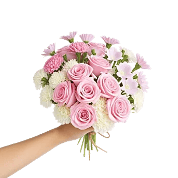 Pastel Pink Roses