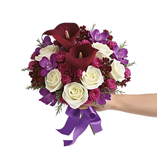 Elegant Calla Lilies