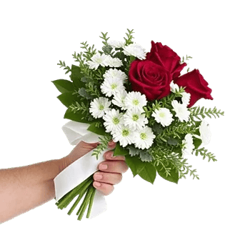 Crimson Rose Elegance