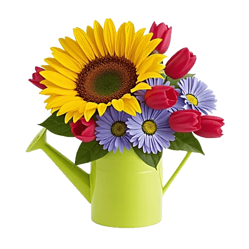 Radiant Bloom Cascade