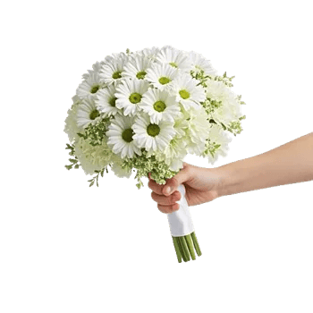 Ivory Garden Grace