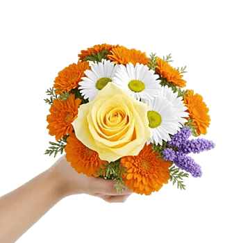 Blossom Harmony Display