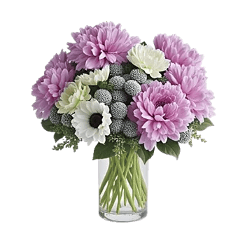 Lavender Bloom Grace