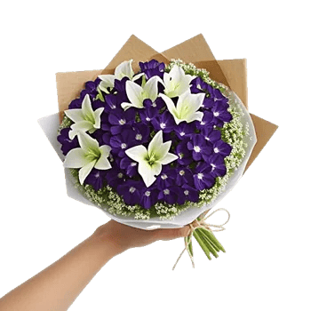 Blossom Harmony Display