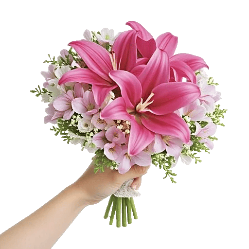 Blossom Petal Serenity