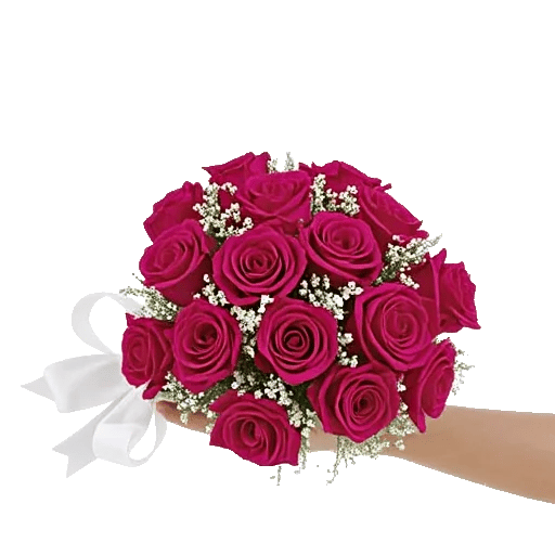 Blushing Rose Symphony