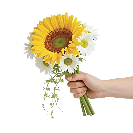 Twinkling Sunflower Dance