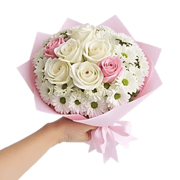 Pink Pastel Roses