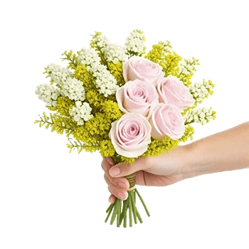 Blossom Harmony Display