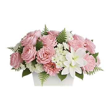 Delicate Petal Cascade