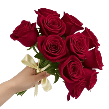 Crimson Rose Elegance