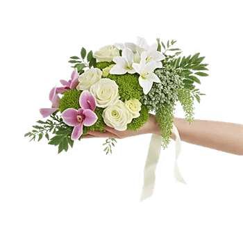 Orchid Bloom Cascade