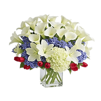 Elegant Calla Lilies