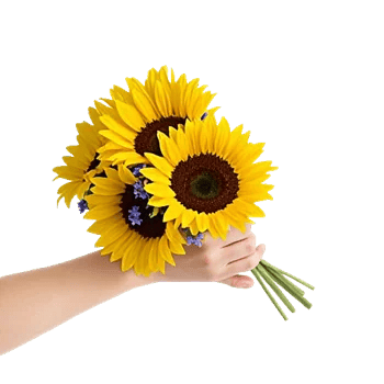 Twinkling Sunflower Dance