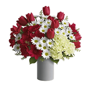 Crimson Blossom Harmony