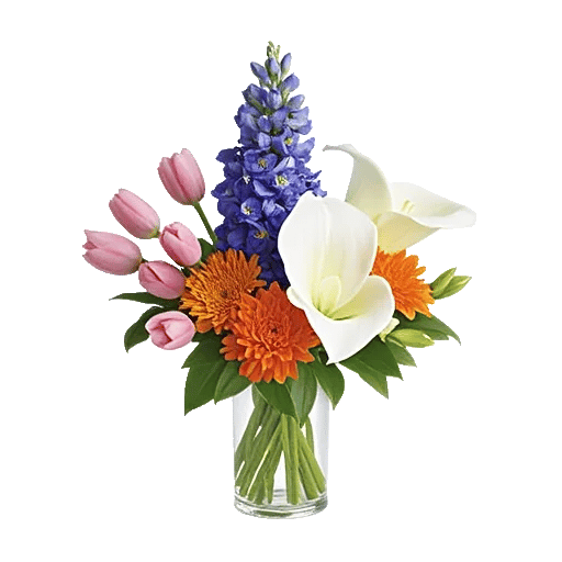 Velvet Tulip Display