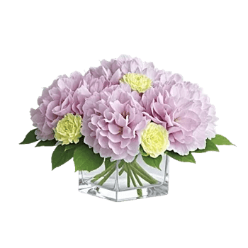 Delicate Petal Cascade