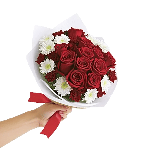 Crimson Rose Elegance