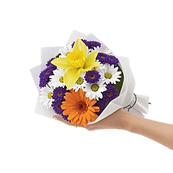 Blossom Harmony Display