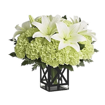 Ivory Blossom Radiance