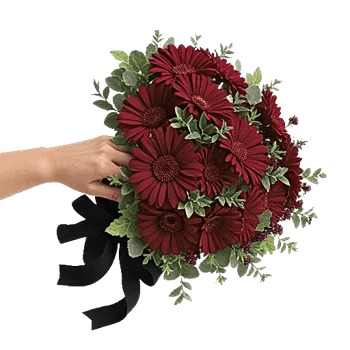 Deep Red Foliage