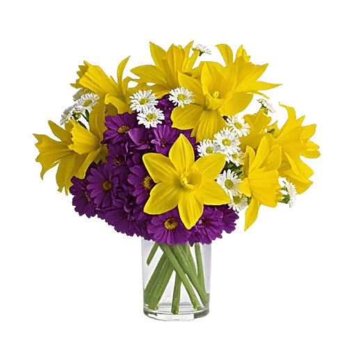 Velvet Tulip Display