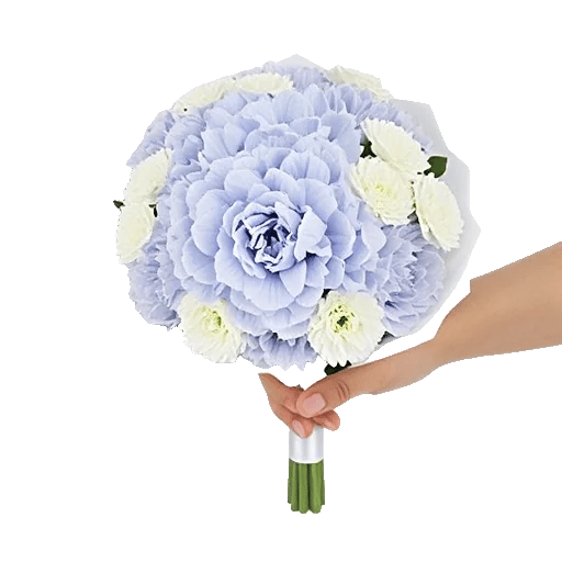 Serene Petal Harmony