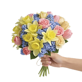 Blossom Harmony Display