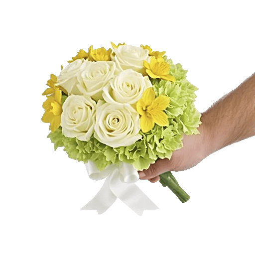 Ivory Blossom Radiance