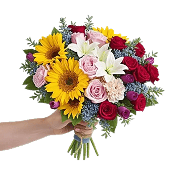 Blossom Harmony Display