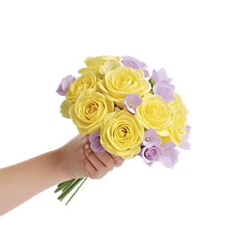 Delicate Petal Cascade