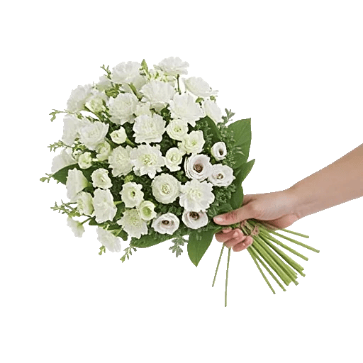 Minimalist White Orchids