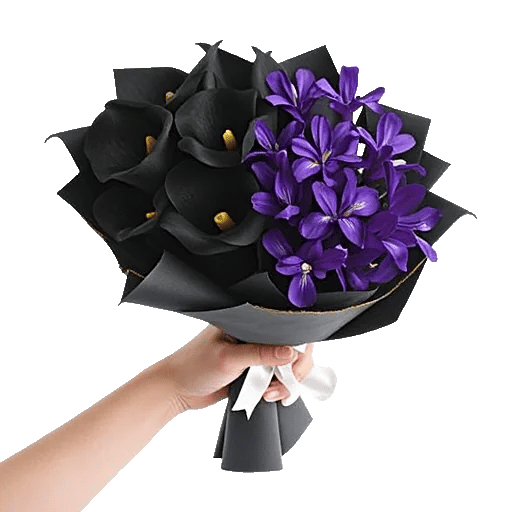 Elegant Calla Lilies