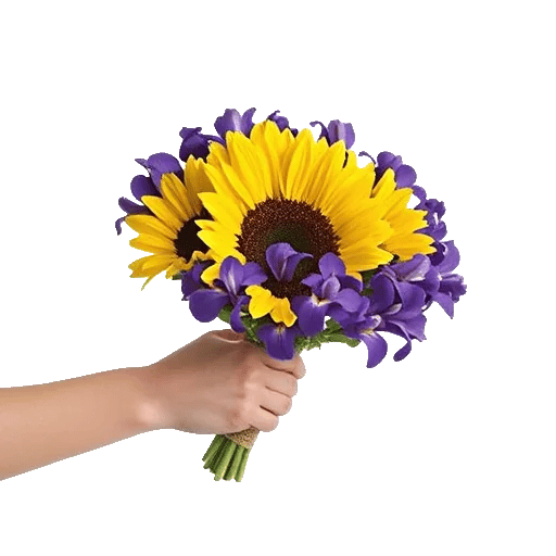 Amber Sunflower Glow