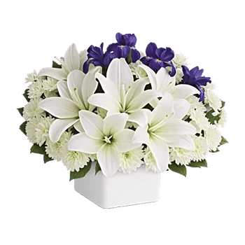 Graceful Lily Display