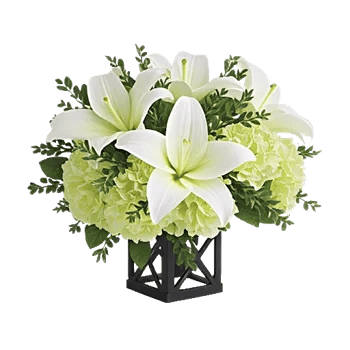 Ivory Blossom Radiance