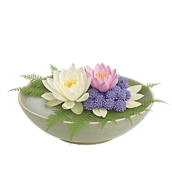 Serenity Orchid Bloom