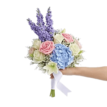 Delicate Petal Cascade