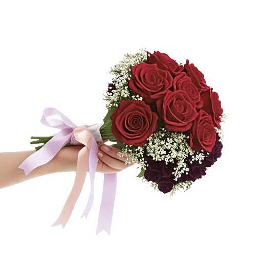 Crimson Rose Elegance