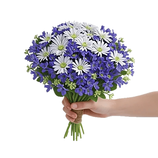 Blossom Petal Serenity