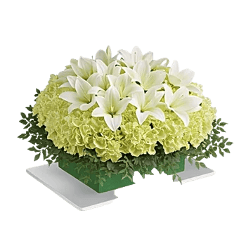 Ivory Blossom Radiance