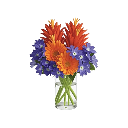 Petal Radiance Bliss