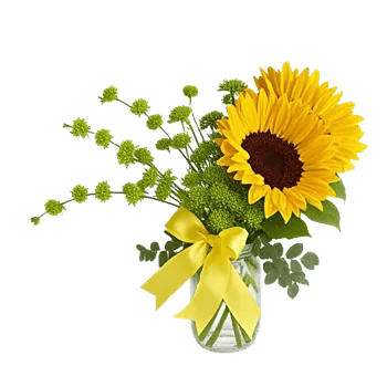Bright Cheerful Sunflowers