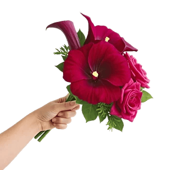 Elegant Calla Lilies