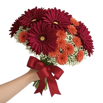 Crimson Blossom Harmony