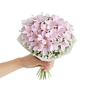 Blossom Breeze Harmony